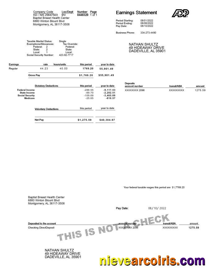 ADP Earnings Statement